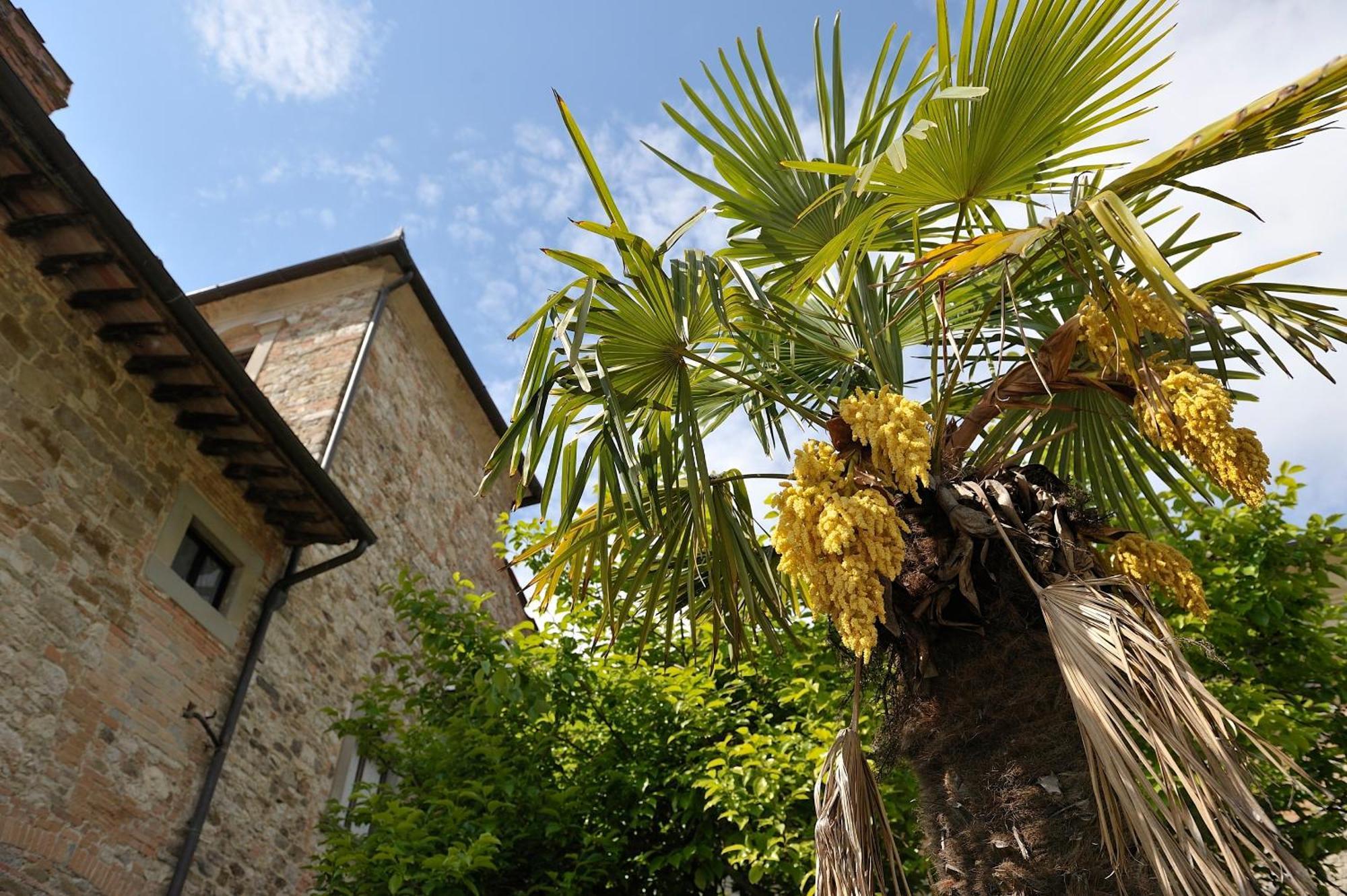 Villa Medicea Lo Sprocco Scarperia Exterior photo